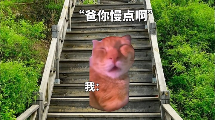 当我和爸妈一起旅游