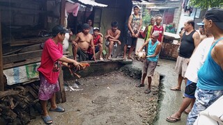 Aug 31 Talisayin jumbo vs Pula walang pakpak