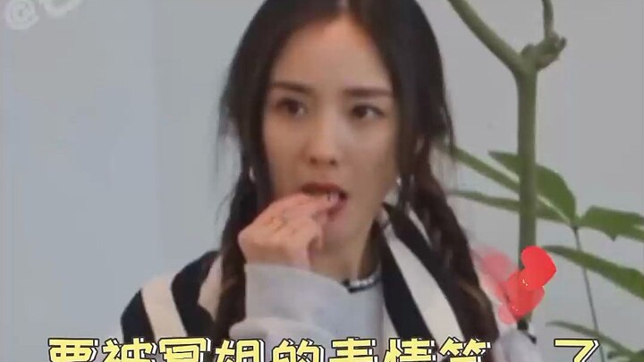 The elders seemed a bit off, and Sister Yang Mi was so shy she didn’t dare to speak—just like a kid!