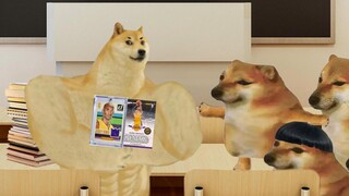 什么卡片一张那么贵啊