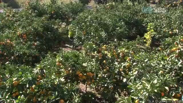 ¥my girl 2005,2¥¥