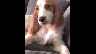 😁😁😁