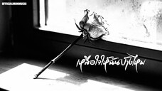 เหลือใจให้ฉันบ้างไหม