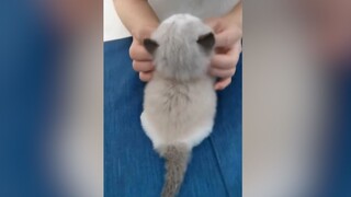 “Đây... đáng yêu quá đi mất!!”