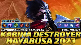 THE KARINA DESTROYER | HAYABUSA  2023