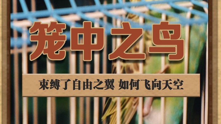 Tied down by the shackles of freedom—how can you still soar into the sky? #10MinutesBreak