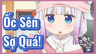 Ốc Sên Sợ Quá!