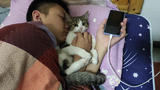 [Mèo Con] Mèo Và Thời Tiết Bất Ổn Ở Thành Đô