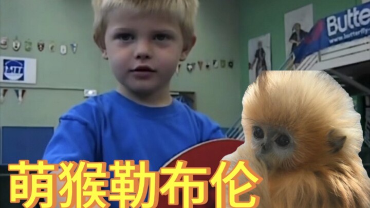 【Felix Lebrun】feifei! Bạn là một bé khỉ vàng xinh xắn nhỉ