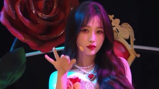 Pesta Malam Tahun Baru TV Satelit Hunan 2023 |. Panggung ultra-jernih “Gwalla” Yu Shuxin