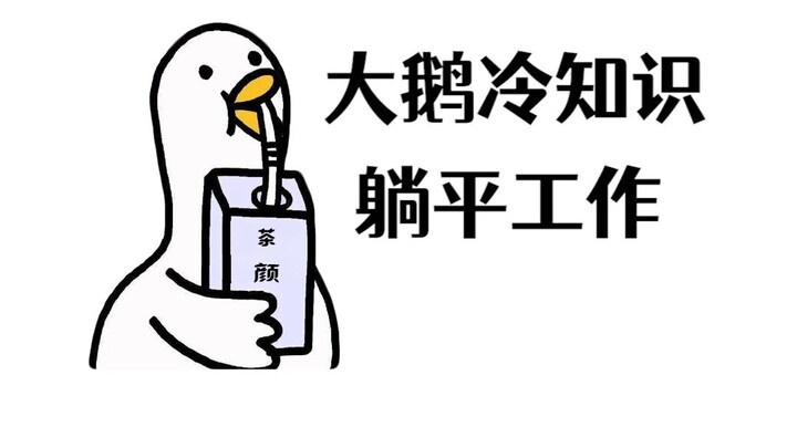 Đừng mất 30 năm vòng vèo nữa, lưu ngay những công việc trong mơ này lại thôi!