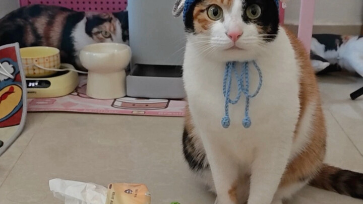 Creative Ways to Use Tissues