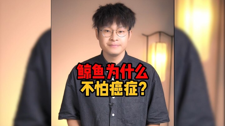 Tại sao cá voi không sợ ung thư?