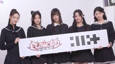 [ENG SUB]Billyeoon Goyangis Sent into the Game 🎮🐱 | ELSWORD Ad Shoot Sketch l ILLIT[BEHIND-IT]