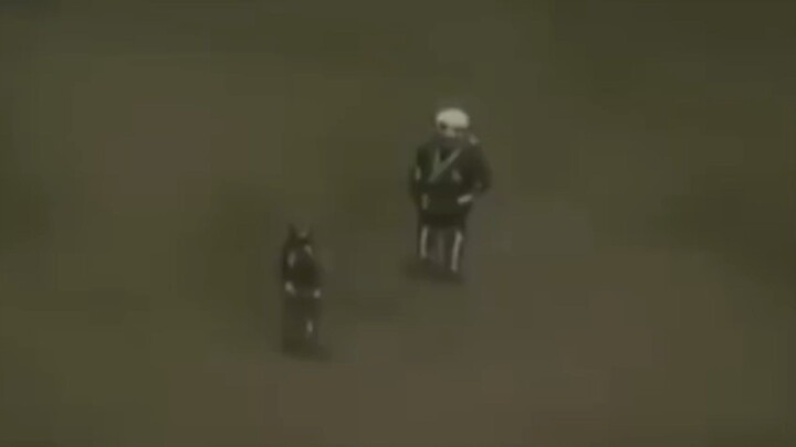 kakashi