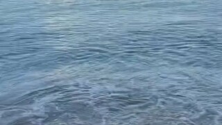 EH HA'AH LAH....🗿