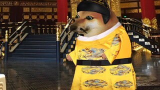 Điều gì sẽ xảy ra nếu Mã hoàng hậu được phép chết vì Chu Nguyên Chương?