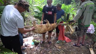 MỪNG NÚT PLAY BẠC KÊNH HVK