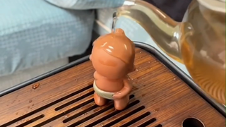 这茶宠就离谱