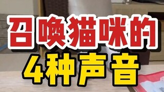 Ba âm thanh triệu hồi mèo tức thì, mau thử ngay đi!