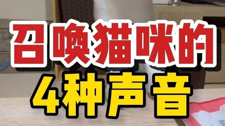 ثلاثة أصوات تستدعي القطط فورًا، جرّبها بسرعة!