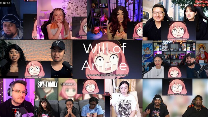 SPY X FAMILY EPISODE 1 REACTION MASHUP - FROGER FAMILY IS HERE