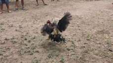 GEDLI FIGHTS👊 | 04 (ISANG GANTI LANG PALA ANG KAILANGAN👏😂)