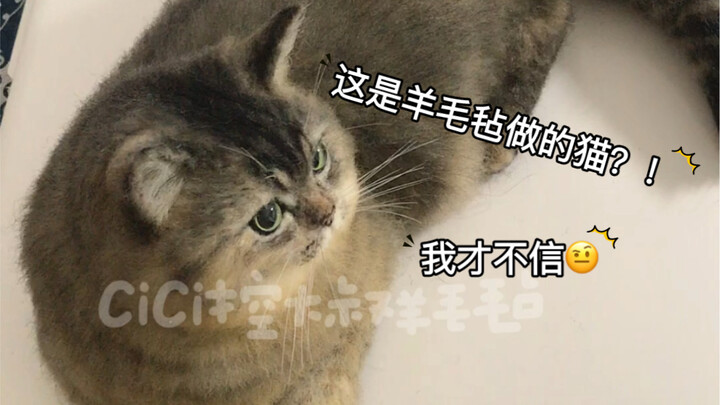 【羊毛毡】猕猴桃
