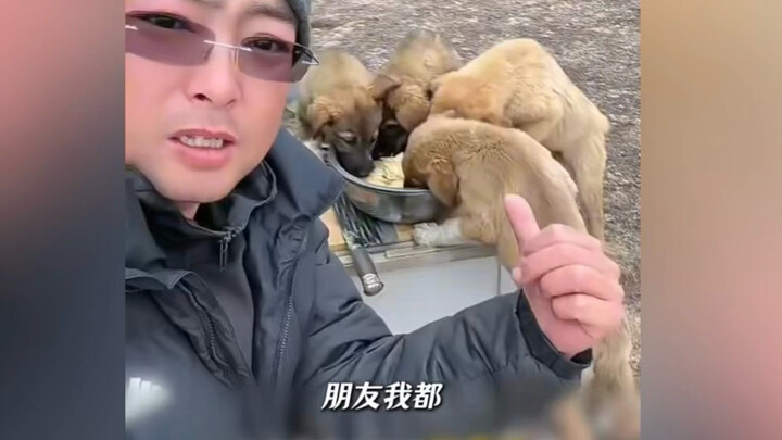 Big Brother: Let’s adopt a puppy, gogogo!
