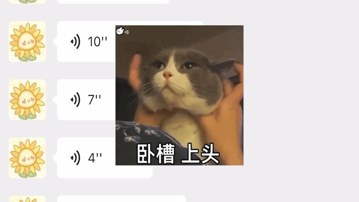 【Kelompok Tujuh Petal】Drama Seru Terbaik Tahun Ini!!! Baik alur cerita maupun ratingnya benar-benar 