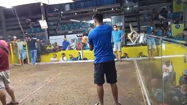 2nd fight jv cockpit .2hits champion