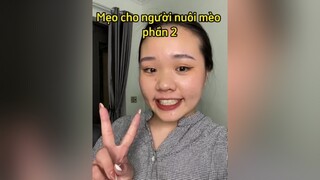 Nuôi mèo buộc phải biết nha quý zị cat mèo mẹohay LearnOnTikTok thaomeo