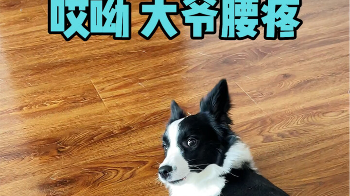 Ông cụ ngày càng lười rồi…