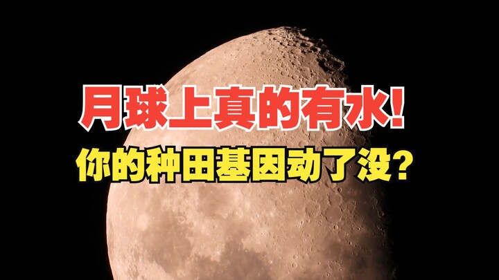 Molecular water was discovered in the lunar soil of Chang'e 5, and Apollo said: I don't believe it!