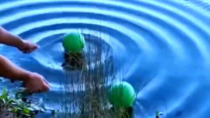 الشعور المباشر بتداخل الموجات