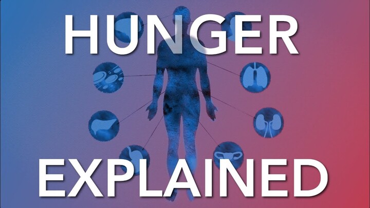 Intermittent Fasting & Hunger - What the Science says