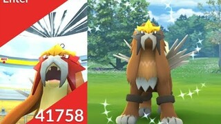 Shiny Entei Special in Pokemon go.
