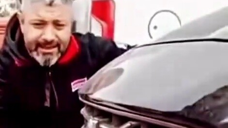 【Funny Daily Life of Earth Creatures #151】