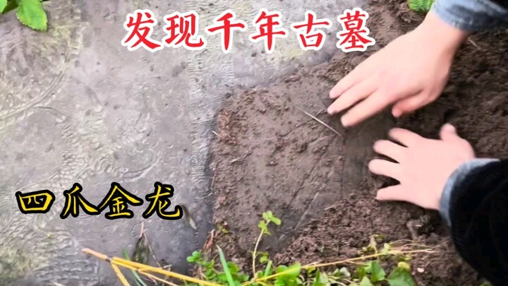 Di tepi jalan di Ningbo ditemukan makam kuno berusia ribuan tahun! Ada naga emas berkaki empat dan j