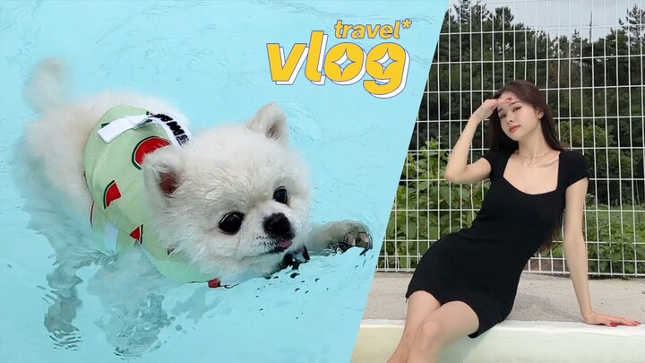 여행 vlog🌼 뭉치랑 가족 여행🐶🥰