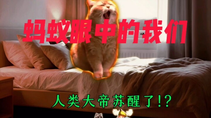 蚂蚁眼中的我们：