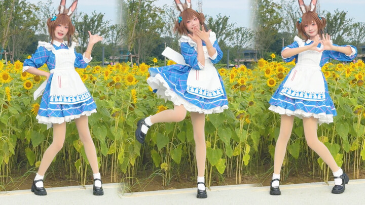 Amiya likes you, chii 🌻🌻🌻~