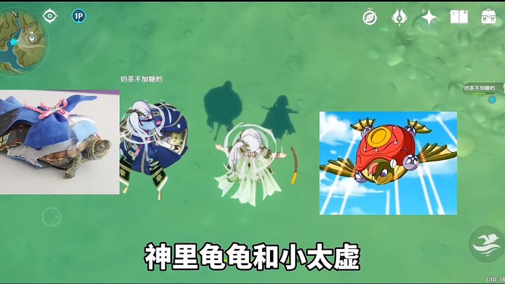 Chúc mừng gia tộc rùa Teyvat đón thành viên mới!