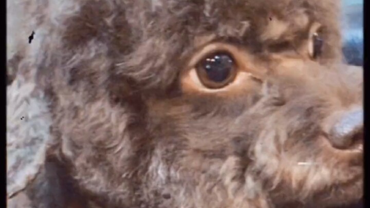 Komunikasi Tanpa Hambatan