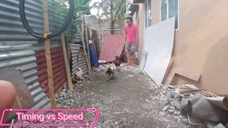 Timing vs Speed