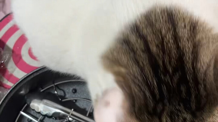 咱俩一点信任度都没有啊