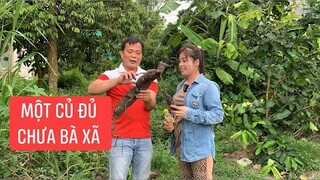 Tôi Người Miền Tây.! Cùng bà xã đi đào khoai mỳ làm món ăn vặt buổi trưa.