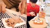 Dog Reaction to Cutting Cake - Funny Dog Cake Reaction Compilation (2019)
