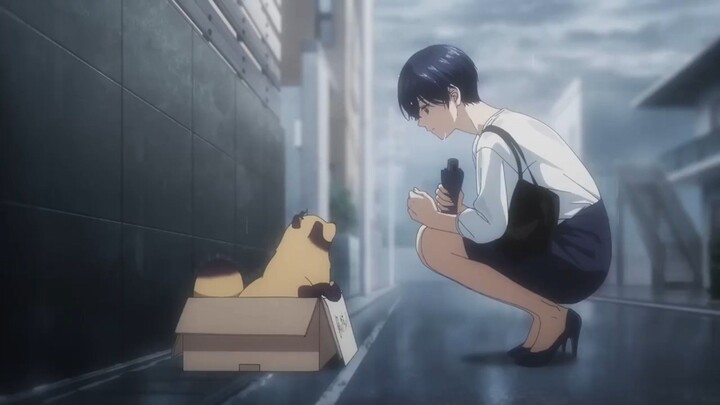 Cuman Anime Wanita Cantik dan seekor Tanuki