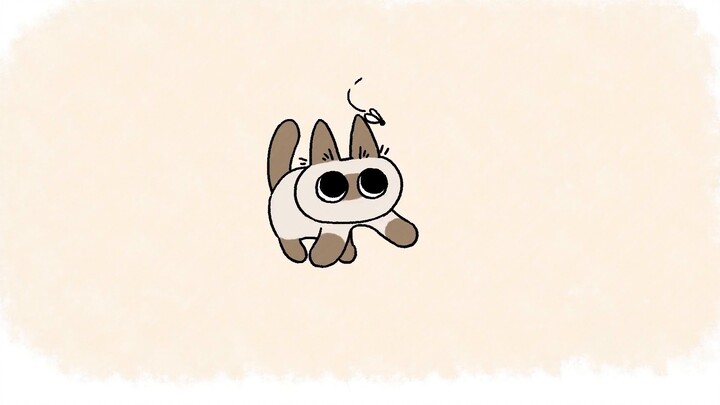 [Mèo Xiêm Xiaodoumu] Hoạt hình thứ ba của Xiaodoumu vẫn rất dễ thương! (Đoạn chiến đấu nảy lửa)